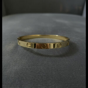 Luxury Gold Screw Bangle Bracelet for Women with Polished Stainless Steel Finish